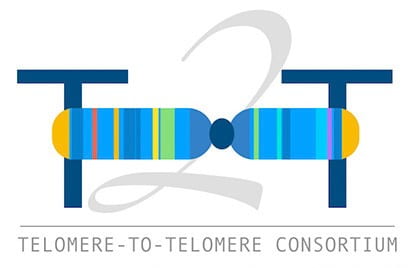 the Telomere-to-Telomere (T2T) Consortium Logo
