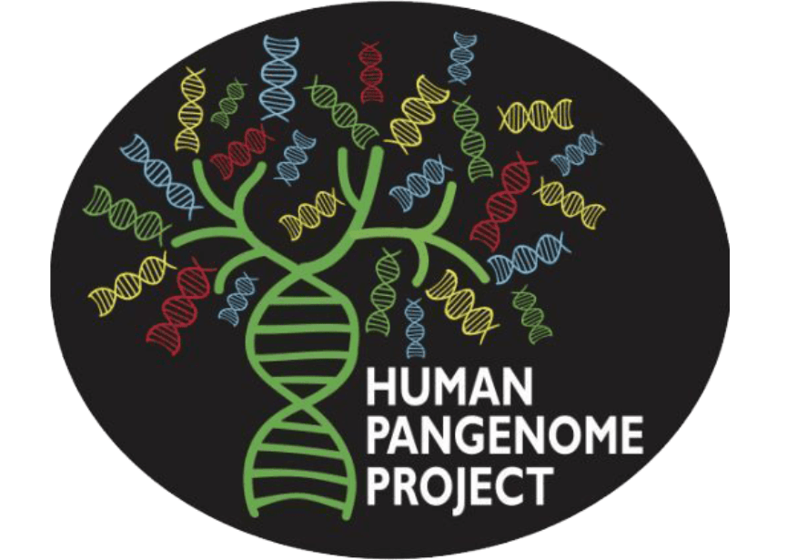 Human Pangenome Project logo